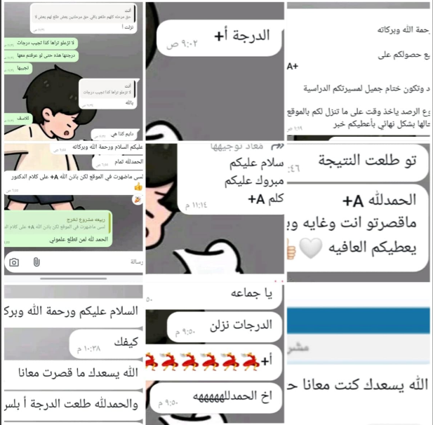 سكرين شوت رسالة واتساب 3